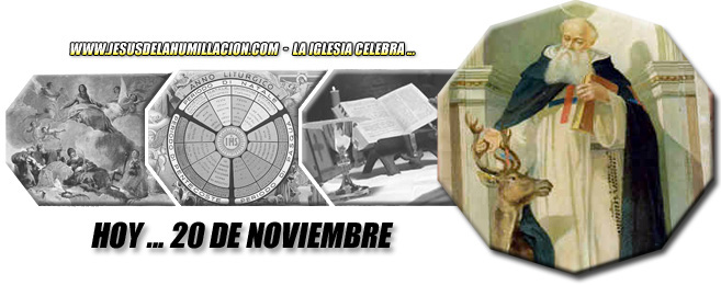 Hoy 20 de noviembre celebramos ...
